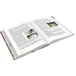 Knjiga "Šunkovar - Mojster kulinaričnih možnosti, Recepti" (knjiga v poljščini)" – photo 3