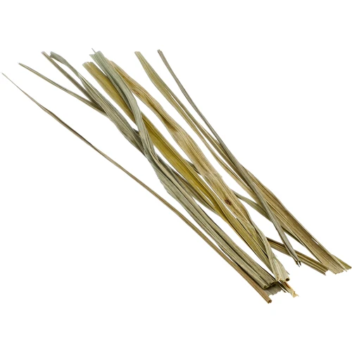 Bizonova trava - dišeča trava 12 kos / 4 l - 4