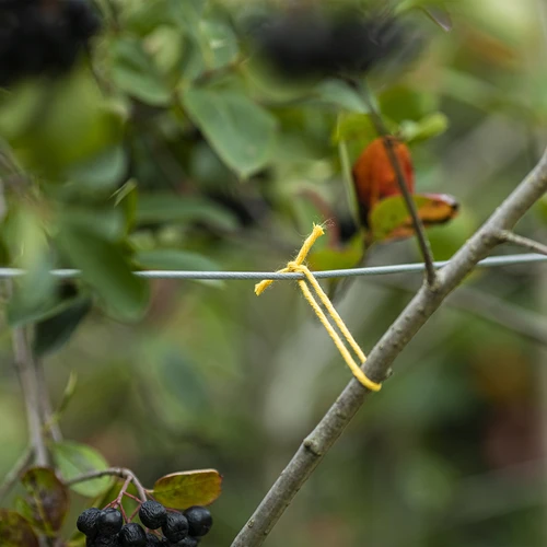 Bombažna vrvica, rumena, 2 mm/55 m/100 g - 7