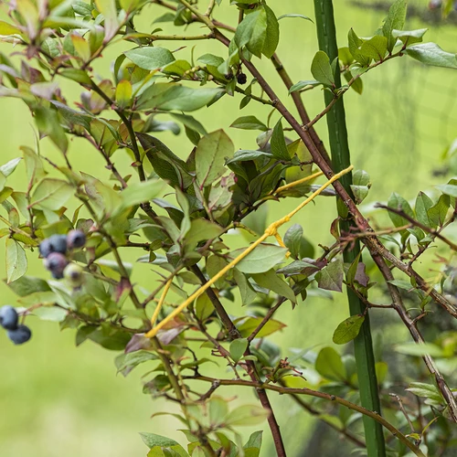 Bombažna vrvica, rumena, 2 mm/55 m/100 g - 8