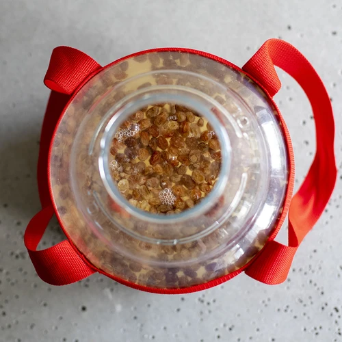 Damižana za vino, lahka, nelomljiva, z nosilnimi trakovi, 10 l - 18