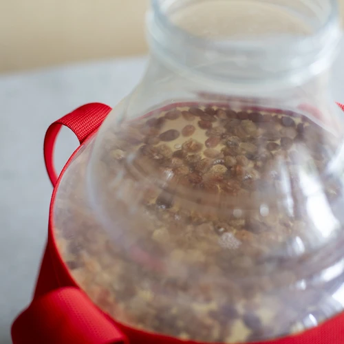 Damižana za vino, lahka, nelomljiva, z nosilnimi trakovi, 10 l - 17