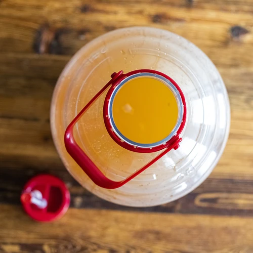 Damižon za vino, lahek, nelomljiv, z ročajem, 25 L - 15