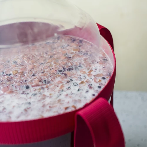 Damižona za vino, lahka, nerazbitna, z naramnicami, 20 L - 17