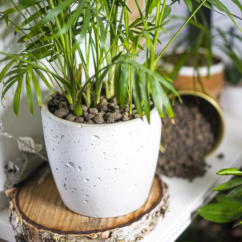 Ekspandirana glina za lončnice, vrtnarjenje in gozdove v steklu, 4–10 mm, 1 L - 10