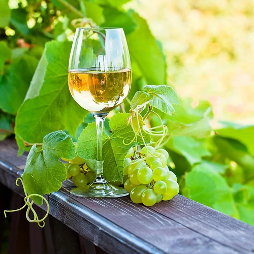 Enovini® OK WHITE - vinske kvasovke, ki znižujejo kislost 7 g - 10