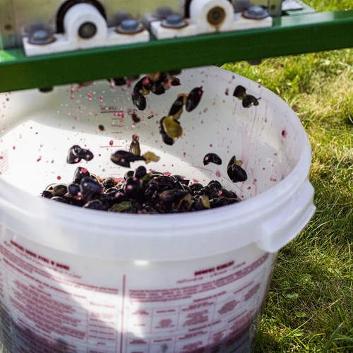 Fermentacijska posoda 30 L s pokrovom in pipo - 16