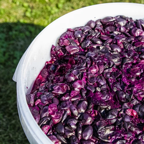 Fermentacijska posoda 30 L s pokrovom in pipo - 15