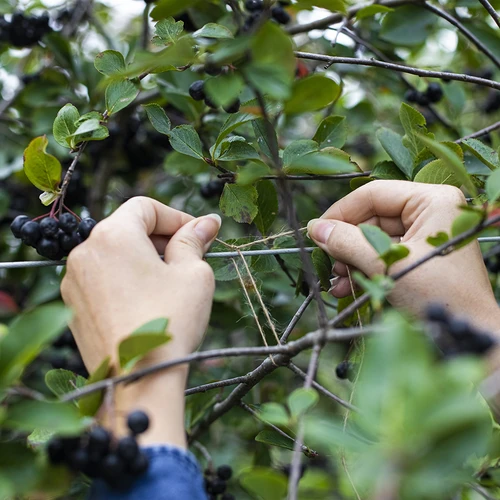 Jutena vrvica 1,5 mm/100 m/100 g - 8