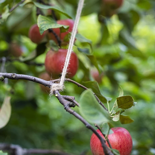 Jutna vrvica 2 mm/110 m/250 g - 8