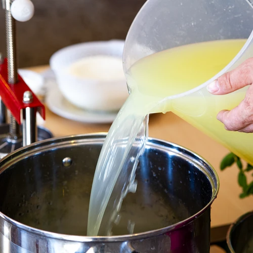 Kalcijev klorid za sir, 10 g - 10