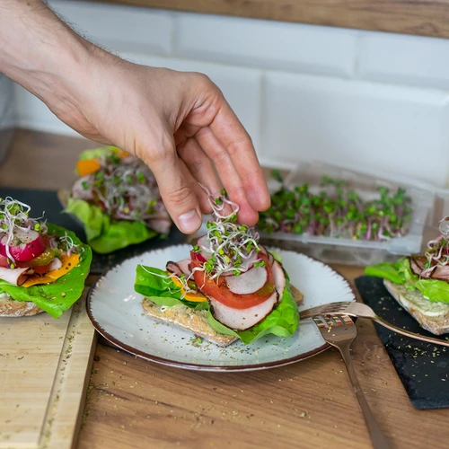Kalilnik Zielona Czuprynka s semeni redkvice - 11
