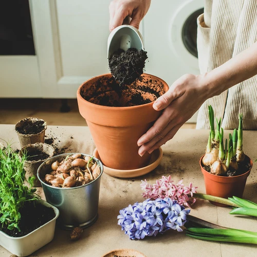 Kokosovo aktivno oglje za rastline 0,9 L - 7