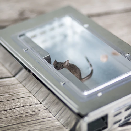 Kovinska past za miši - živa past - 8