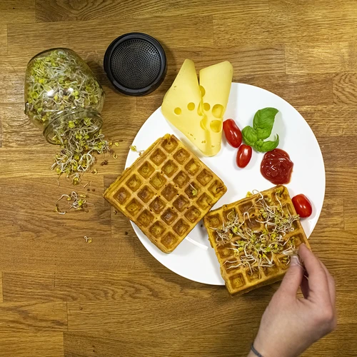 Kozarčni kalilnik Twist-off + 5 paketov semen - 13