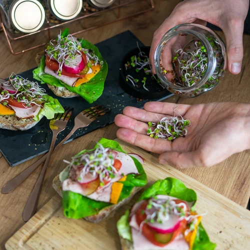 Kozarčni kalilnik Twist-off + 5 paketov semen - 12