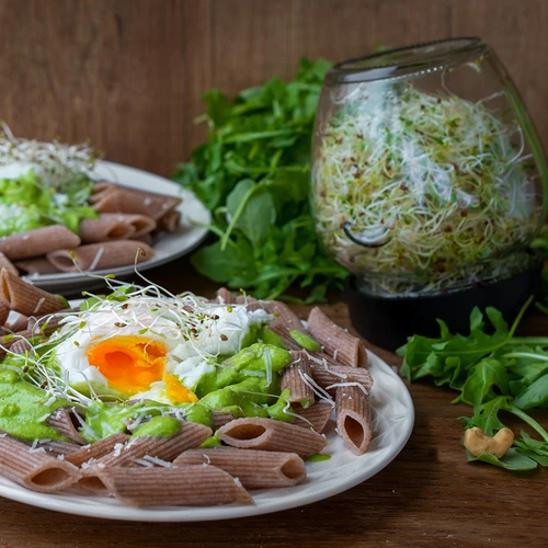 Kozarčni kalilnik Twist-off + 5 paketov semen - 15