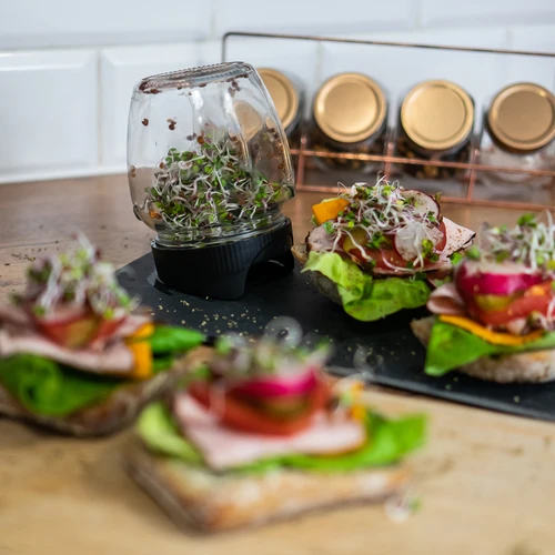 Kozarčni kalilnik Twist-off s semeni redkvice - 11