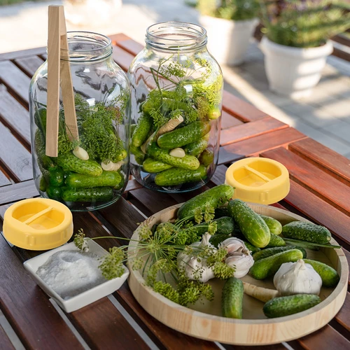 Kozarec TO 4 L, prijemalke in pokrov iz plastike fi 100, z ročajem - 6