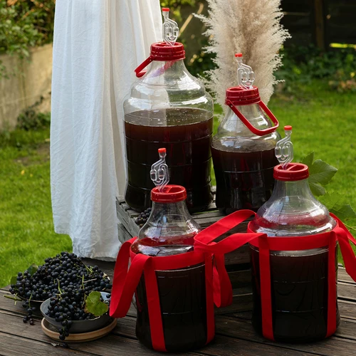 Lahek, nerazbiten balon za vino s trakovi za prenašanje, 15 L - 13