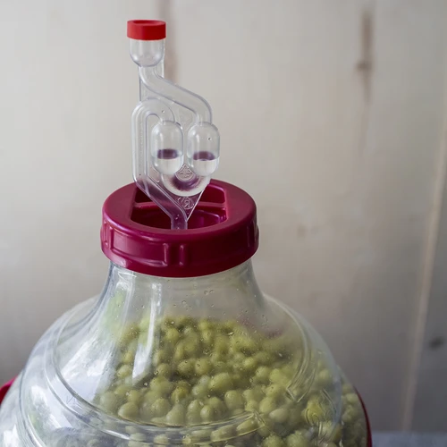 Lahka, nerazbitna damižana za vino z naramnicami, 25 L - 13