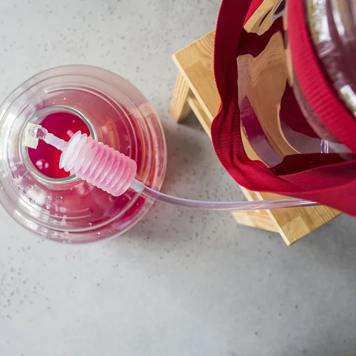 Lahka, nerazbitna damižana za vino z naramnicami, 25 L - 18