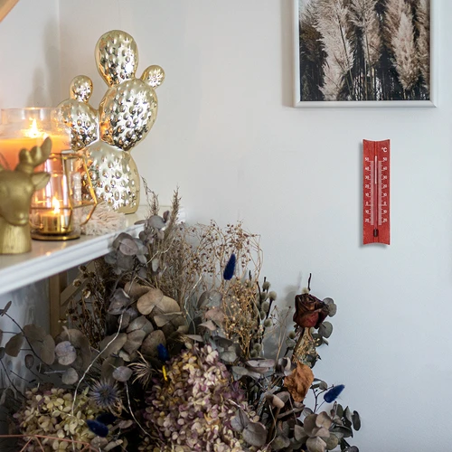 Leseni sobni termometer (-20 do +50°C), 15 cm, mešanica - 8