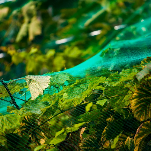 Mreža proti pticam 8 x 8 m - 2