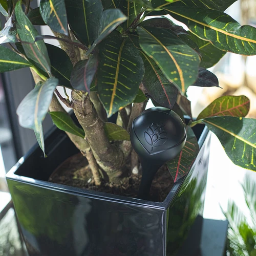 Namakalne krogle za rastline, črne matne, 400 ml, 4 kosi. - 9