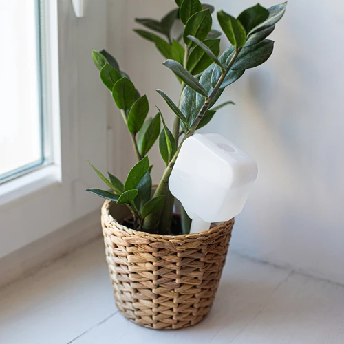 Namakalnik za rastline – bela ploščica, 200 ml - 9