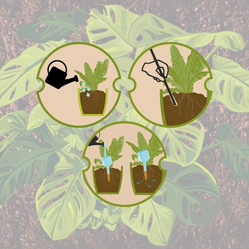 Namakalnik za rastline – bela tabla s keramično nogico, 200 ml - 12