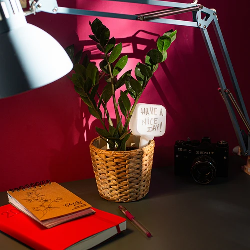 Namakalnik za rastline – bela tabla s keramično nogico, 200 ml - 11