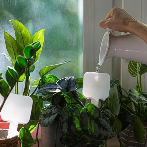 Namakalnik za rastline – bela tabla s keramično nogico, 200 ml - 8