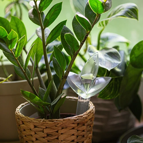 Namakalnik za rastline – prozoren listič, 120 ml - 7