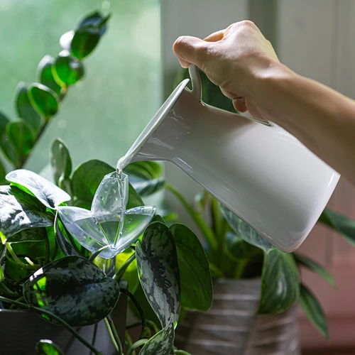 Namakalnik za rastline – prozoren listič s keramično konico, 120 ml - 8