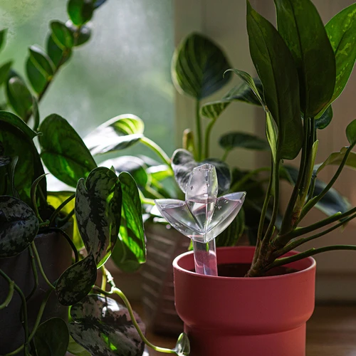 Namakalnik za rastline – prozoren listič s keramično konico, 120 ml - 9