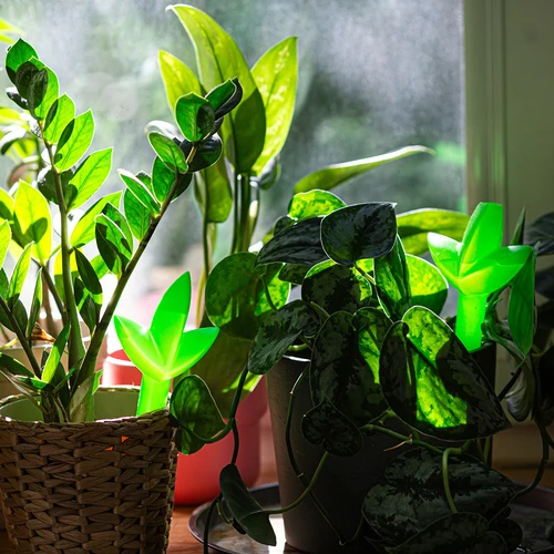 Namakalnik za rastline – zeleni list, 120 ml - 7