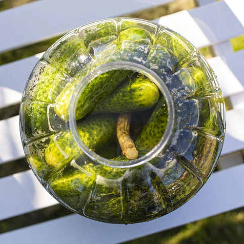 Nezlomljiv, večnamenski kozarec za fermentacijo, 5 L - 5