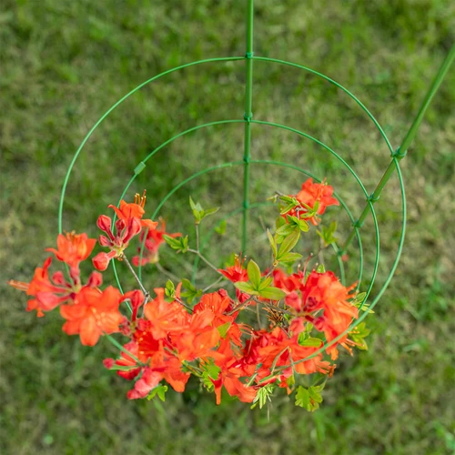 Obročna opora za rastline, 3 obroči, 1,5 m - 5