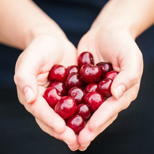Odkoščičevalnik za višnje in češnje (v foliji) - 7