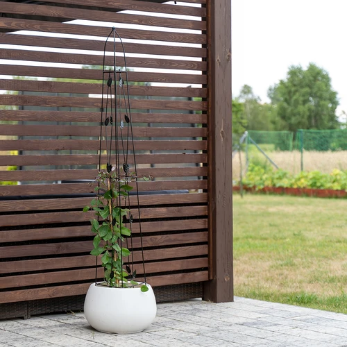 Okrasna pergola - Piramida, 150 cm - 5