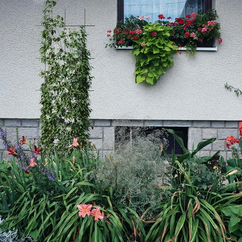 Opora za rastline - rešetka (150 cm x 45 cm) 3 kosi - 4