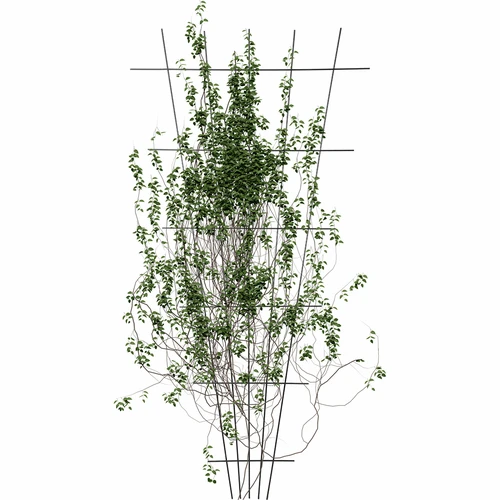 Opora za rastline - rešetka (150 cm x 75 cm) 2 kosa - 3