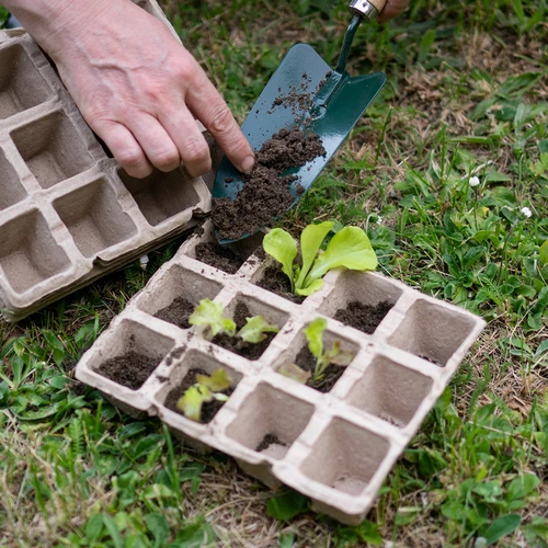 Papirnati lončki 4,5 x 5 x 4,5, komplet 5 kosov - 5