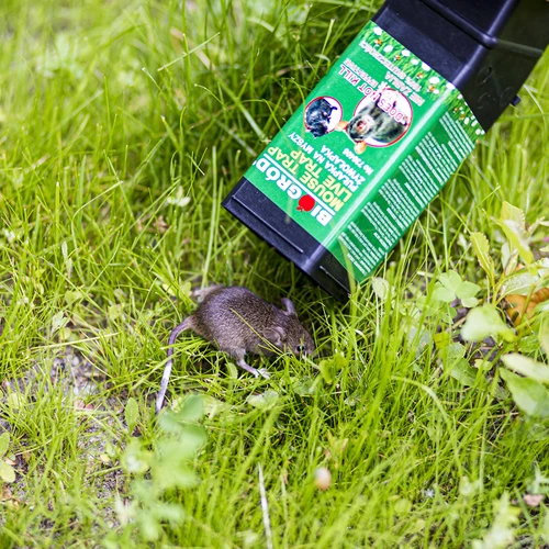 Past za miši - živa past - 10