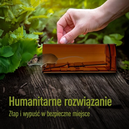 Pasti za miši – živa past, prozorna, 2 kosa - 7