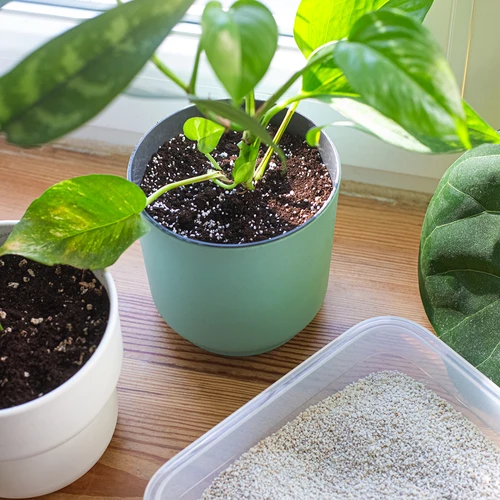 Perlit za lončnice in vrtnarstvo, 2L - 8