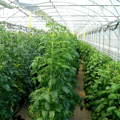 Polipropilenska vrvica 1 mm/65 m/50 g - 5