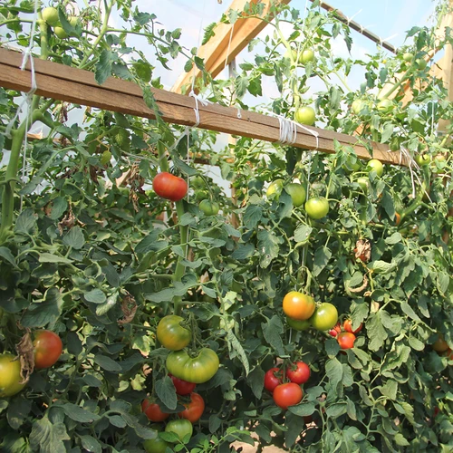 Polipropilenska vrvica 1 mm/65 m/50 g - 7