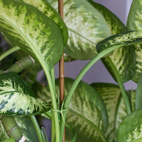 Prevlečen jekleni količek v obliki bambusa, 180 cm × 11 mm - 4